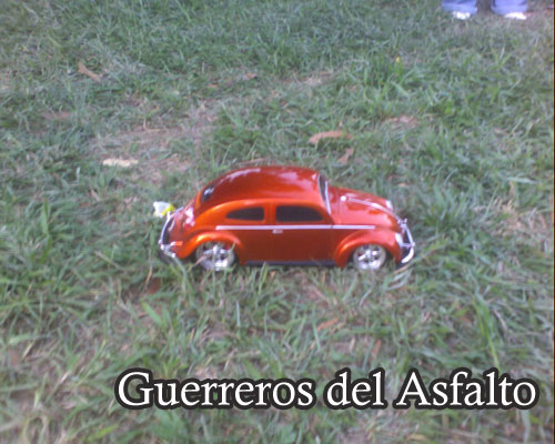 Barinas