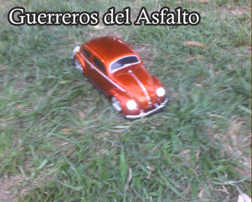 Barinas