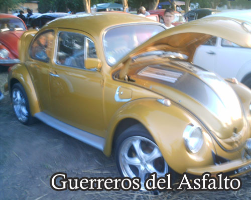 Barinas