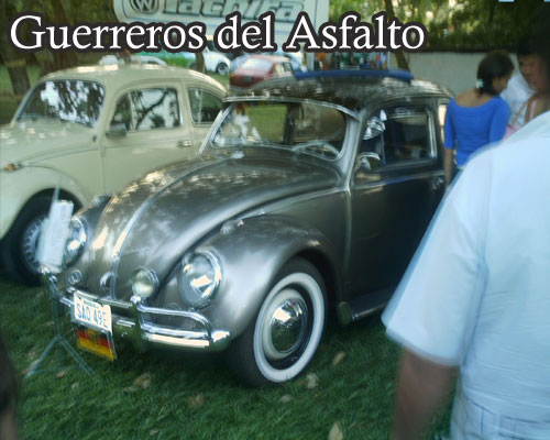 Barinas